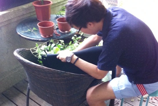 Gardening @ Atria